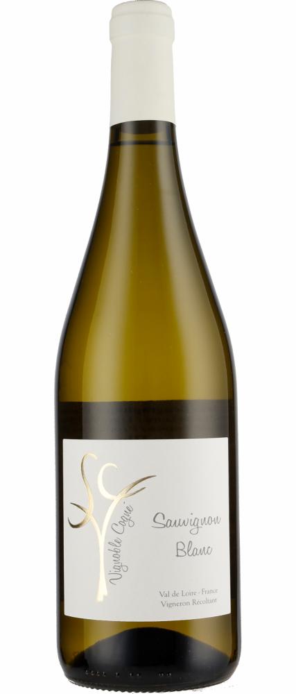 2024 Sauvignon Blanc IGP Loire Domaine Vignoble Cogné